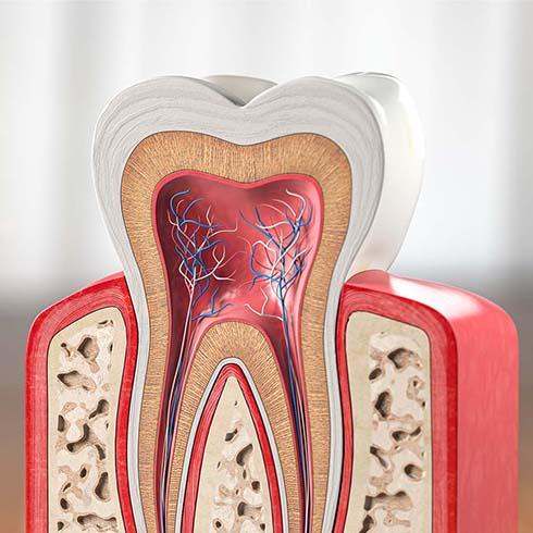 Endodontics